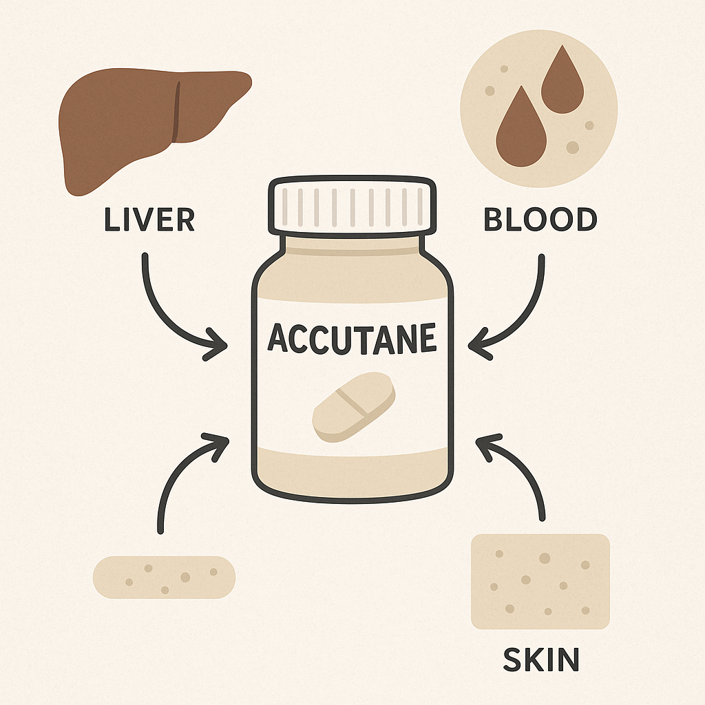 The Impact of Accutane on Your Body